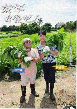 短剧改编小说总裁的第七份合同封面